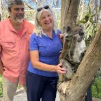  Powell Koala, Cleland Wildlife Park, SA.5